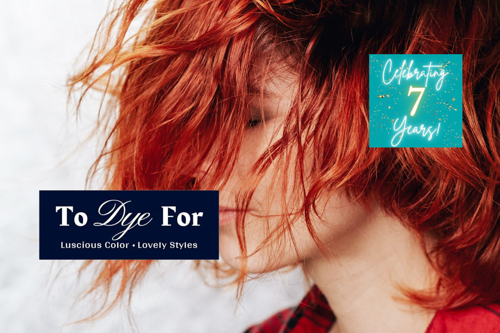 To Dye For Hair Salon - Milwaukee and Waukesha